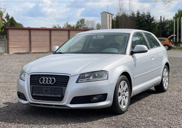 Audi A3 cena 19999 przebieg: 230000, rok produkcji 2010 z Małomice małe 56